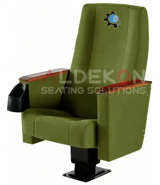 Saida-konferans-sinema-stad-koltugu-10