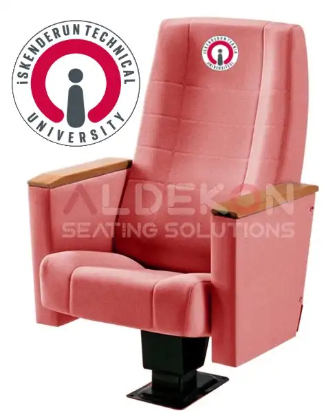 Tebessa-konferans-sinema-stad-koltugu-07