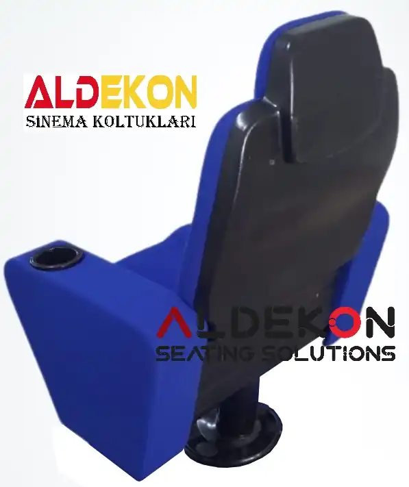 roza-konferans-sinema-koltugu-263