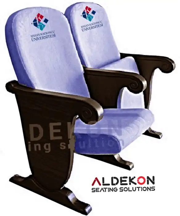 ruther-konferans-sinema-koltugu-58