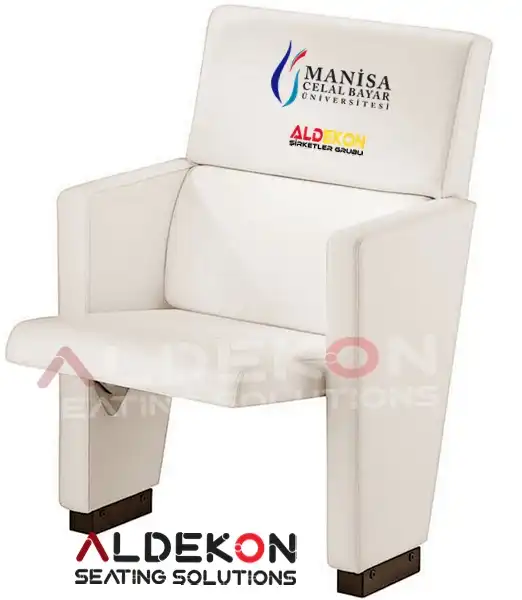 rwanda-konferans-sinema-koltugu-10