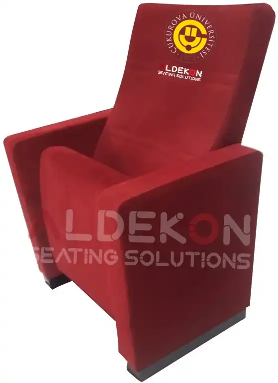 tenesse-konferans-sinema-koltugu-52