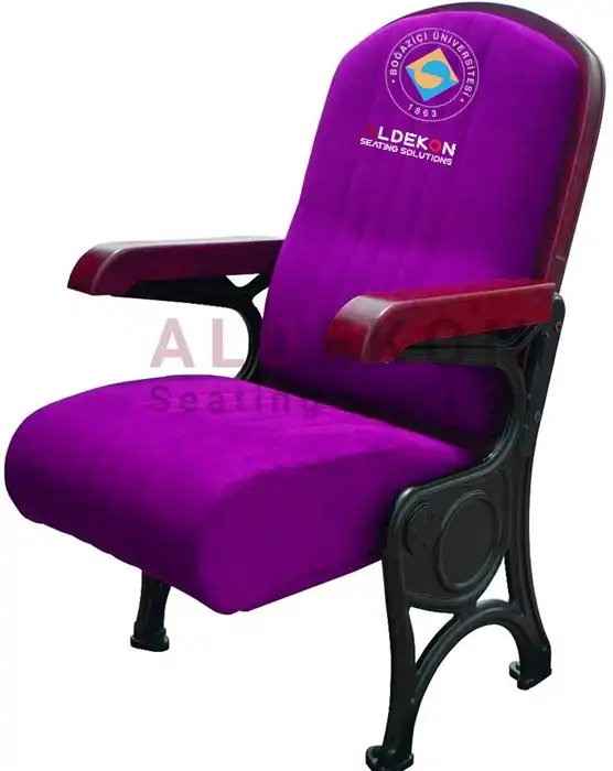 vomel-konferans-sinema-koltugu-55